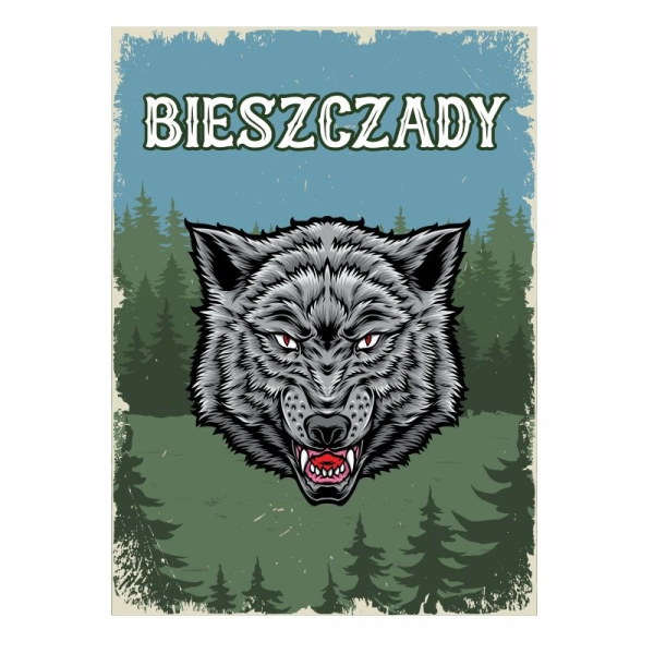 Magnes rysunkowy N22