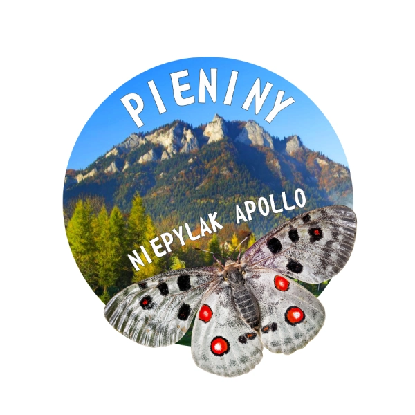 Magnes Niepylak Apollo