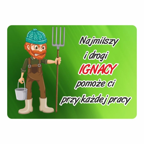 Magnes śmieszny z imieniem IGNACY