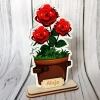 Kolorowe kwiaty w doniczce - róże
