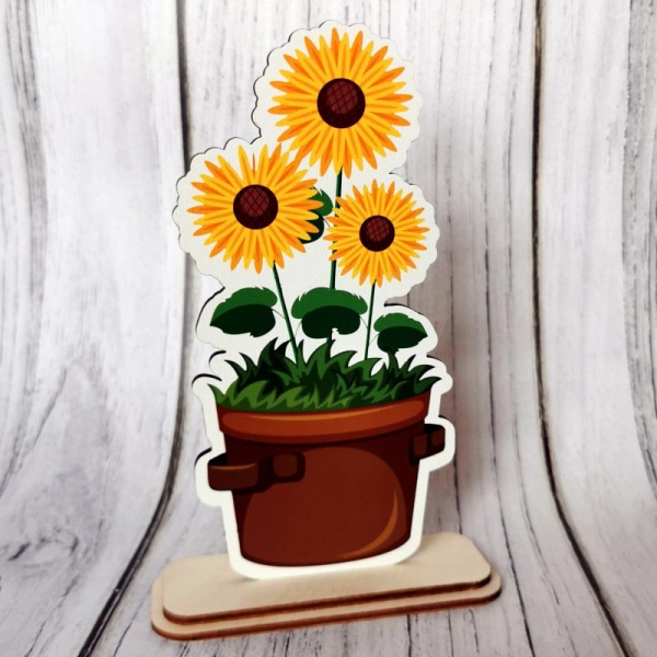 Kolorowe kwiaty w doniczce SŁONECZNIK